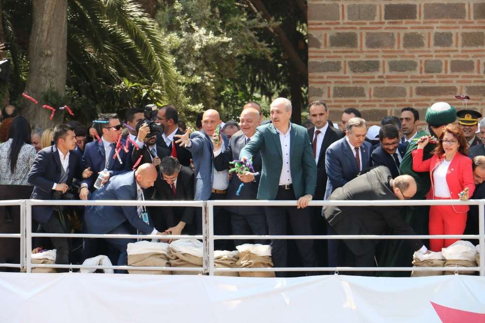 Kurtulmuş Mesir Saçtı