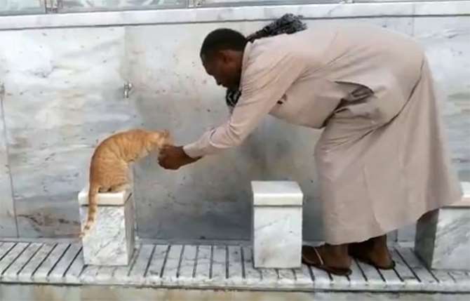 Kutsal Topraklardan İnsanlık Dersi