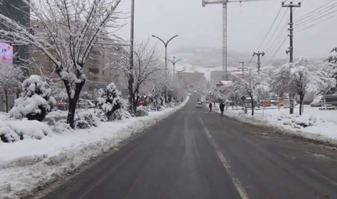 Mardin’de Hayat Durdu !