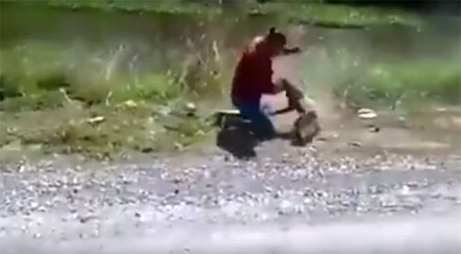 Maymunla Kıyasıya Kavga Etti