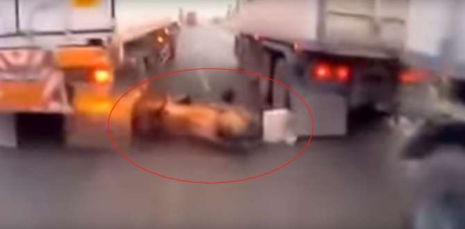 Motosiklet Kamyonları Geçerken Devrildi Ve...