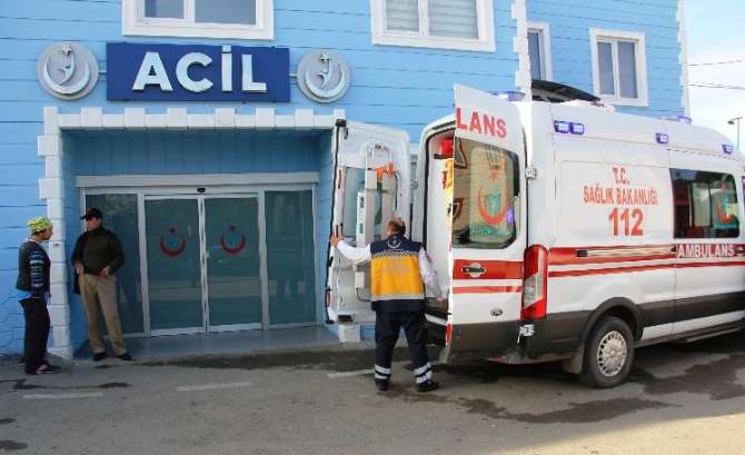 Ölü Arkadaşlarıyla Koyda Mahsur Kaldılar