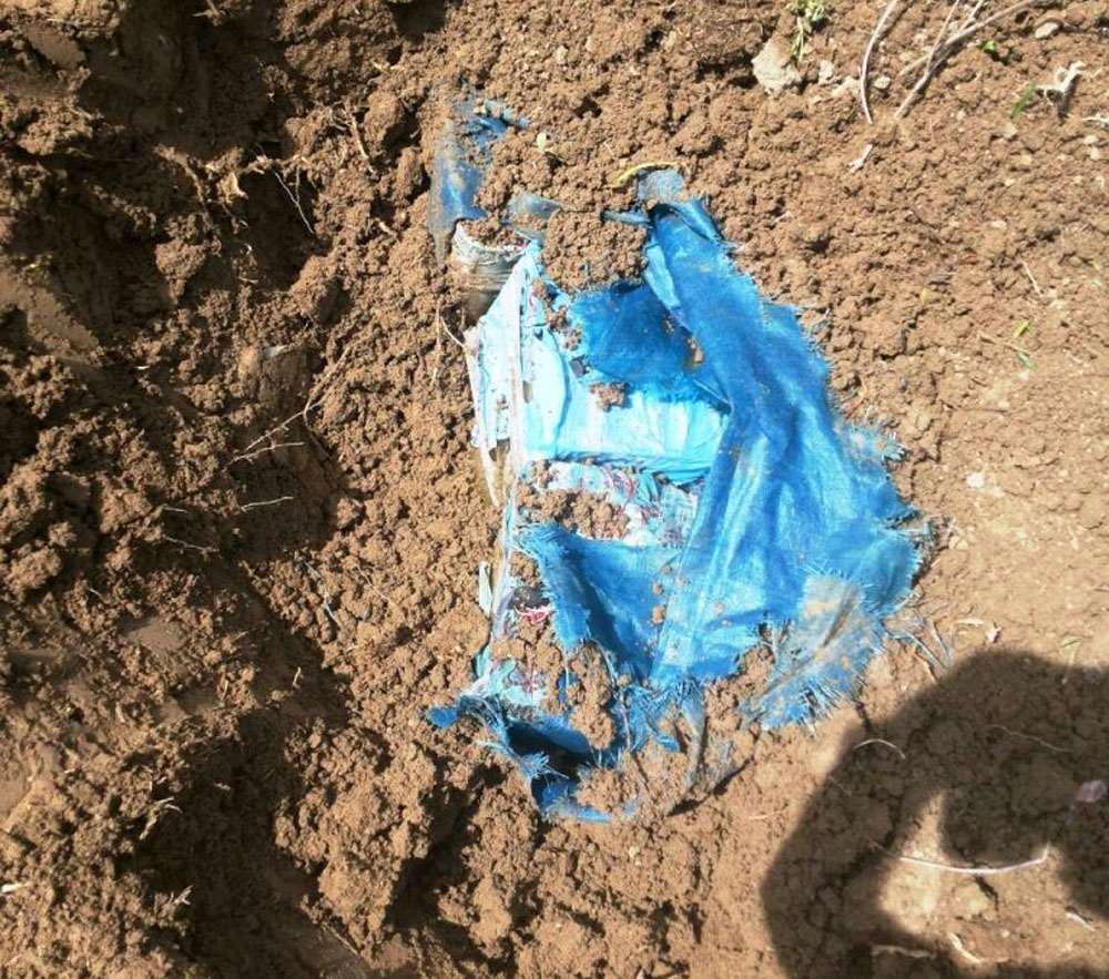 Ortalığı Kana Bulayacaklardı !