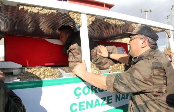 Peygamberin Kucakladığı Bir Aslan O