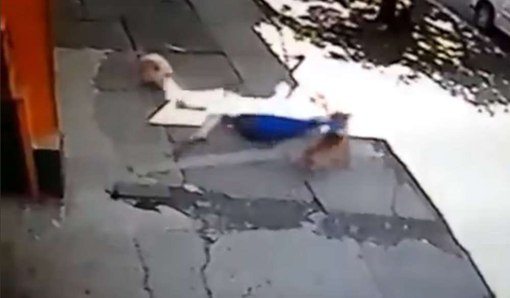 Pitbull Kadın Ve Köpeğine Böyle Saldırdı