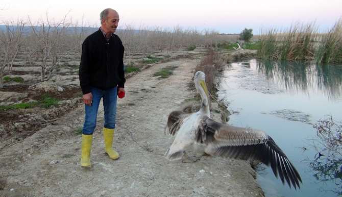 Sahibinin Yanına Kimseyi Yaklaştırmıyor
