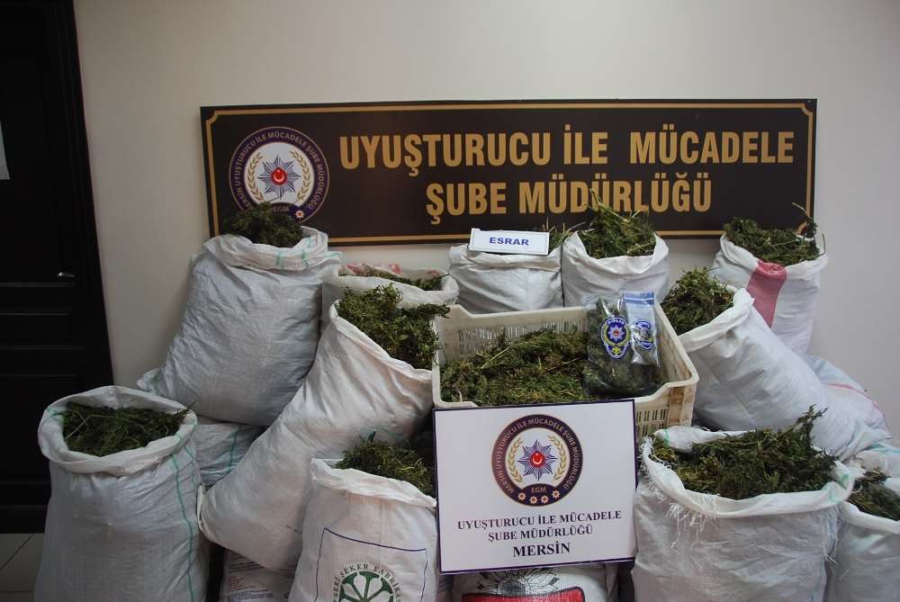 Serada 223 Kilo Esrar Ele Geçirildi