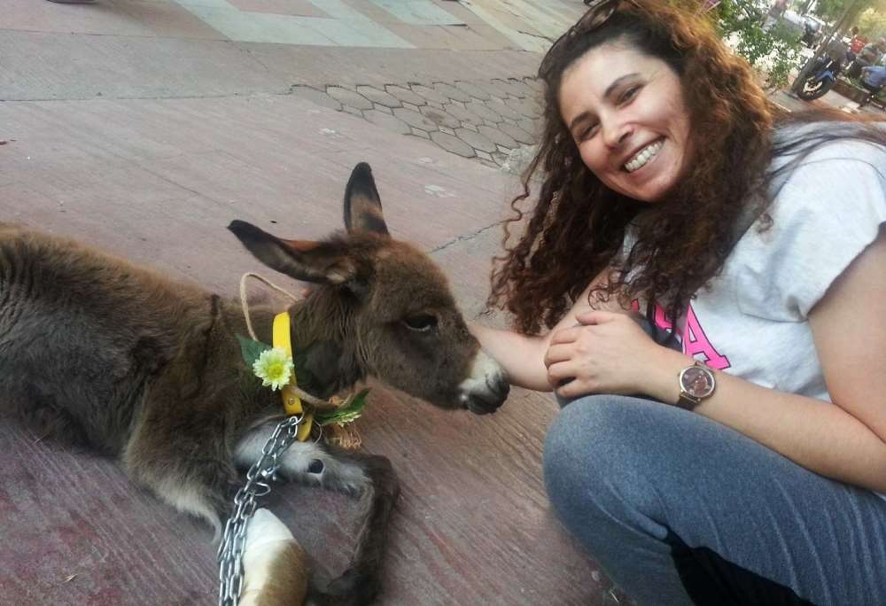 Sevimli Sıpa Maskot Oldu