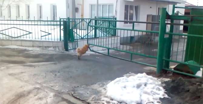 Şirketin Kapı Görevlisi