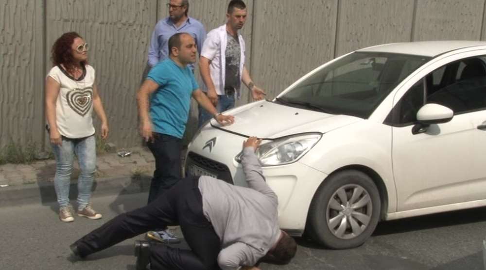 Şişli’de Yavru Kedi Seferberliği