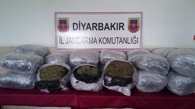 Tam 134,5 Kilo !