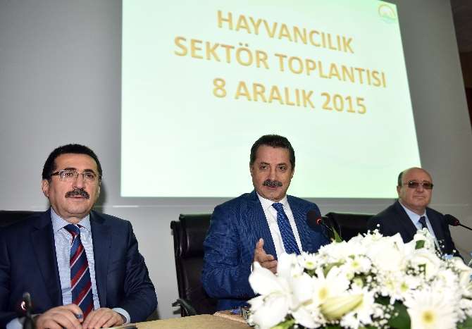 Türkiye’nin Büyük Ve Küçükbaş Hayvan Sayısını Açıkladı