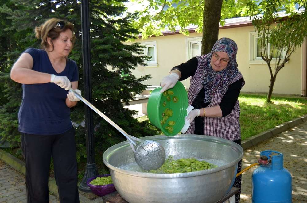 Yalovalı Kadınlardan Yeni Lezzet: Kivi Reçeli
