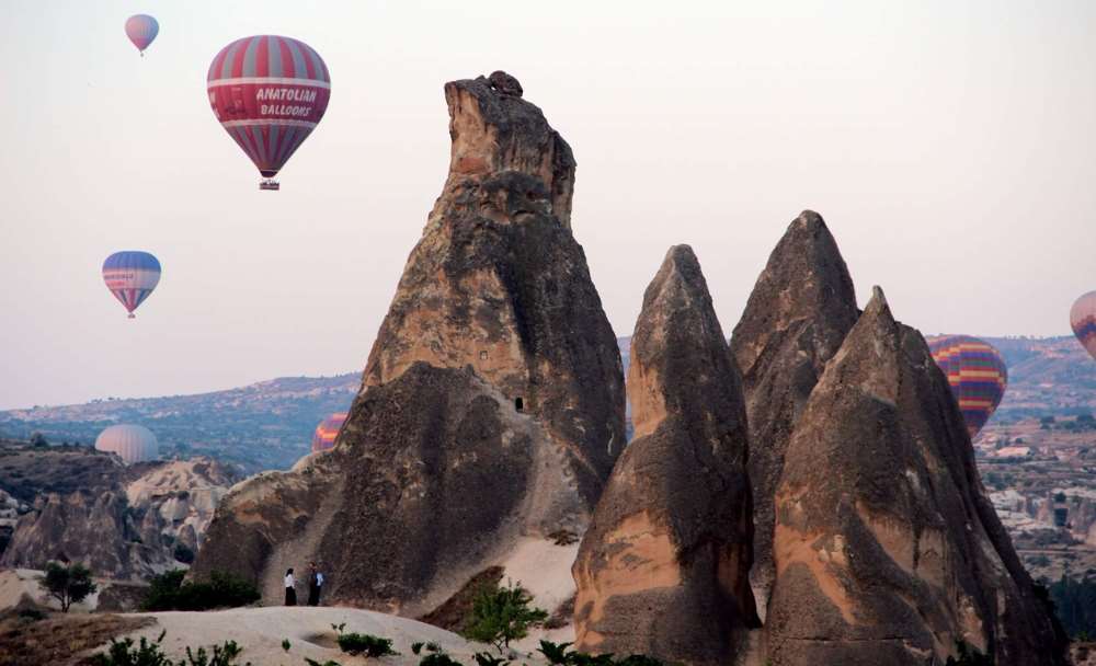 Zam Şampiyonu Yurt İçi Turlar