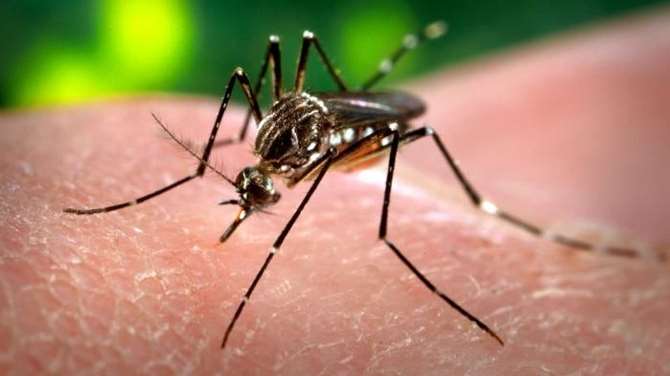 Zika Yayılmaya Devam Ediyor