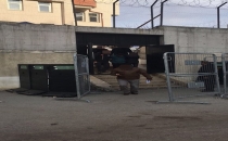 Cezaevi Firarisi Yakalandı