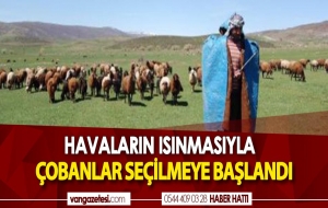 ÇOBANLIK MESLEĞİ BAŞLADI