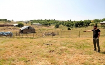DEV YILAN GÖRENLERİ ŞAŞIRTTI