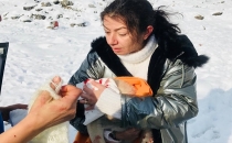 Erciş’te Sokak Köpekleri Artık Öldürülmeyecek