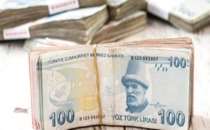 Köylüye 55 Bin Lira Ağaç Desteği Verilecek