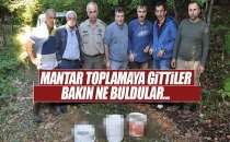 Mantar toplamaya çıktılar bakın ne buldular?