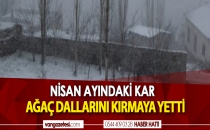 NİSAN AYINDAKİ KAR DALLARI KIRMAYA YETTİ
