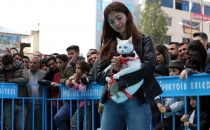 VAN KEDİLERİ PODYUMA ÇIKTI