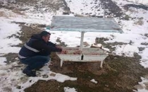 Van'da havaların soğumasıyla birlikte yiyecek bulmakta zorlanan sokak ve yaban hayvanları için Edremit Belediyesi ekipleri yemleme çalışması yaptı.