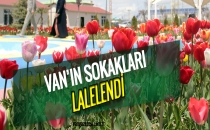 VAN'IN SOKAKLARI LALELENDİ