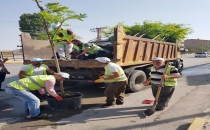Yeni yollar ağaçlarla donatıldı